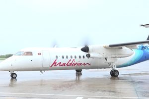 ފްލައިން ސްކޫލް ފަށަނީ ޗެކް ކުންފުންޏަކާ ގުޅިގެން