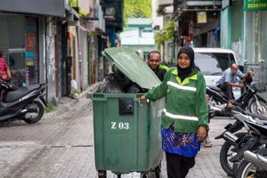 ވެމްކޯއިން ކުނި ނަގާނީ އެންމެ ތިރީ ފަންގިފިލާއިން