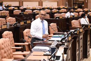 ބޮޑު ހިޔާނާތުގެ ލިސްޓު ފޮރުވާކަށް ކޮމިޓީން ނޫޅޭ