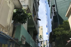 ރައީސް އަންގަވައިގެން ރަބީއުވިލާ ތަޅާލުމުގެ މަސައްކަތް ކުރަނީ