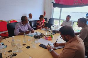 ޑިމޮކްރެެޓުން، ޕީޕީއެމްގެ"އިންޑިއާ އައުޓް" ހަރަކާތަށް ވެސް ދޫދޭނެ