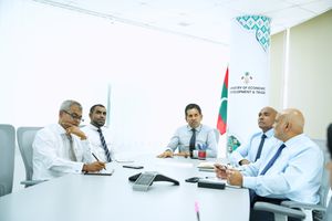 އެސްއީޒެޑްގެ ފުރަތަމަ ޕްރޮޕޯސަލް ރިވިއު ކުރުނީ
