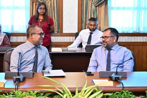 ޓެލެތޯނުގެ ފައިސާ ފޮނުވި ލިޔުންތައް އާންމުކޮށްފި