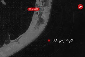 ގެއްލުނު ކުއްޖާ ނުފެނޭ، ހޯދުން ވަގުތީ ގޮތުން ހުއްޓާލައިފި