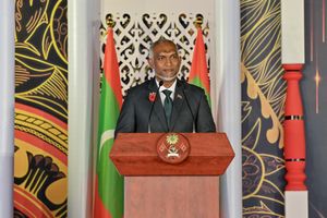 Muizzu attacks free press in National Day speech