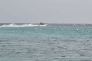 ދޯނި އަޑިއަށް ދިޔުމުން ކަނޑަށް ބެހުނު 5 މީހުން ސަލާމަތްކޮށްފި