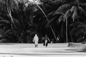 ގައިކޮޅު ގައިގައި ދުރު: މާނަ އާއި ހާލަތްތައް
