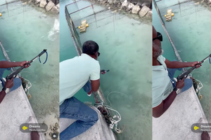 ޝަހީމު މިޔަރަކަށް ހަމަލާދިނުމުން ގިނަ ބަޔަކު ފާޑުކިޔަނީ