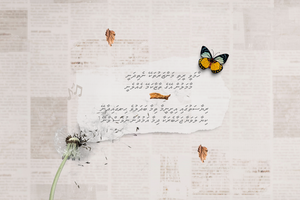 ހިތުގެ ރިހުމަށް ފަރުވާއަކަށްވެ, ދިރިއުޅުމަށް ނަސޭހަތަކަށްވި ބައެއް ބައިތުތައް!