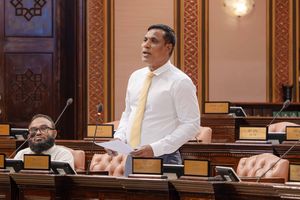 ވަޒީފާއިން ވަކިކުރުމުގެ ކުއްލި މައްސަލަ ބޭރުކޮށްލައިފި