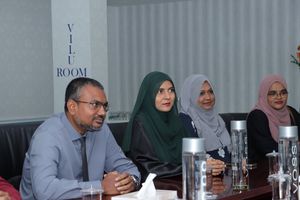 މީޑިއާ ގްރާންޓްގެ ބޮޑު ޕަސަންޓެއް މިހާރާއި ސަންގު އަދި ސަން އަށް