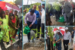 ވާރޭތެރޭގައި ގަހަށް ފެން ދިނުން!