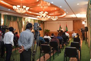"ނޫސްވެރިންގެ ދައުރު ހަނިކުރާ މާއްދާއަކީ ޑިމޮކްރަސީއަށް ހުރަހެއް"