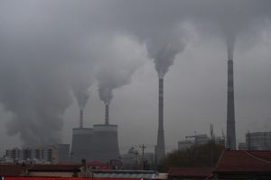 G20 per capita coal emissions growing: research