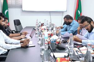 މަސްދަރު ހާމަކުރުން ވީހާވެސް ބޮޑަށް ހަނިކުރަން ހުށަހަޅައިފި 