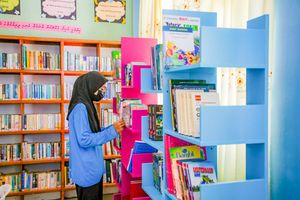 ހަނިމާދޫ ސްކޫލަށް ބިއެމްއެލްގެ އެހީ