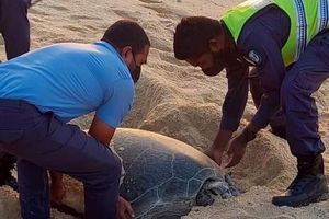 މާލެ އަށް ވެލާ ބިސް އެޅިޔަ ނުދިނީ ކީއްވެ؟ 