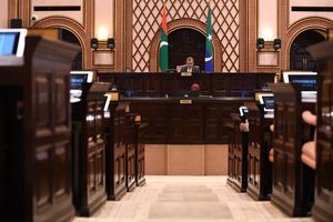 މެންބަރުން ދާއިރާއަށް ކުރާ ދަތުރު ރަސްމީ މަސައްކަތެއްގެ ގޮތުގައި ކަނޑައަޅައިފި