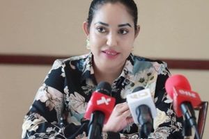 ޕީޕީއެމްގެ އިންތިހާބުތަކުގައި ވާދަނުކުރެވޭ ގޮތަށް ނަހުލާ ސަސްޕެންޑްކޮށްފި