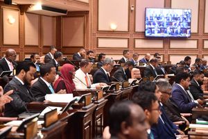 241 ކޮމިޓީއަށް 13، އެހެން ކޮންމެ ކޮމިޓީއަކަށް 11 މެންބަރުން