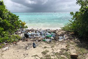 އެއް ލީޓަރުގެ ޕްލާސްޓިކު ފެން ފުޅި މަނާކުރުން 2026 އަށް