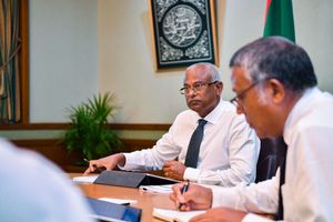 ދިވެހިން ތިބީ ޑިމޮކްރެސީއަށް ވަރަށް ބޮޑަށް ހޭލުންތެރިވެފައި
