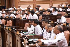 މަޖިލީހުގެ އީ-ޕެޓިޝަން ނިޒާމަށް އާންމުންގެ ހިޔާލު ހޯދަނީ