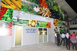 ދިވެހި ދަނޑުވެރިންގެ އުފެއްދުންތައް ގަނެ ހޯލްސޭލްކުރަން އެސްޓީއޯ އެގްރިސެންޓަރު ހުޅުވައިފި