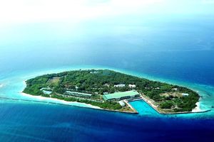 ކީކިމިނި މަސްފެކްޓަރީ އޮޕަރޭޝަނަށް ގެނެސްފި