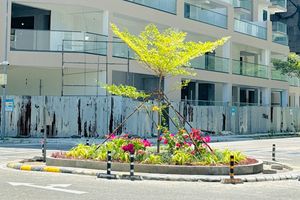 ހުޅުމާލޭ ރައުންޑްއަބައުޓްތަކުގައި އެންމެފަހުން ގަސް އިންދަނީ