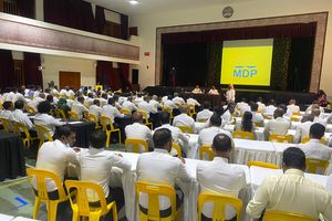 އެމްޑީޕީގެ އިސްތިއުނާފު ފަނޑިޔާރުންގެ މަޖިލީހަށް ރައީސް ސޯލިހުގެ ކެންޑިޑޭޓުން ހޮވިއްޖެ