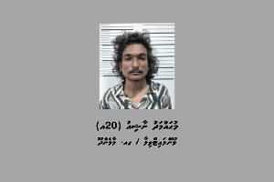 ހިނގާފައި ދިޔަ މީހެއް ގައިގައި ސައިކަލުން ޖެއްސުމަށްފަހު ފިލި މީހަކު ހައްޔަރުކޮށްފި