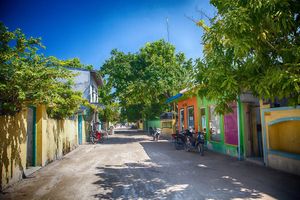 ނަށަން ދަސްކޮށްދޭން ދެކޮޅު ހެދުމުން ސަސްޕެންޑުކޮށްފި