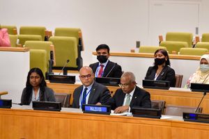 ކުދި ޖަޒީރާ ގައުމުތަކުގެ އެއް ތަސައްވުރުން ބަދަލު ގެނެވޭނެ