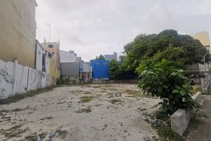 ރަސްމީ ދެ ގެކޮޅުގެ ޑިޒައިން އަދިވެސް ނުނިމޭ!