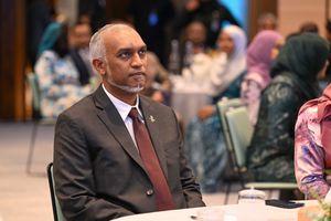 ހަނި ގޯޅިތަކުގައި ހުރި ގޯތިތައް ދޫކޮށްލުމުގެ ފުރުސަތު ހުޅުވާލަނީ