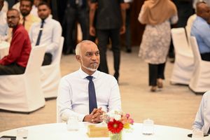 މުއިއްޒުގެ ދިފާއުގައި ބަސް ބުނަން އަންގައިފި