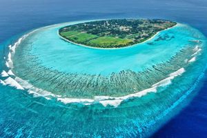 ފީނަން އުޅުނު ފަތުރުވެރިއެއް ގައިގައި ޑިންގީއަކުން ޖެހިއްޖެ 