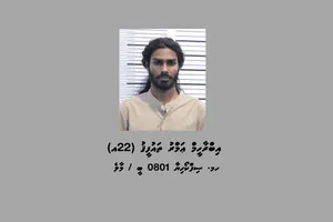 ބައި ކިލޯގެ މަސްތުވާތަކެއްޗާއެކު ހުޅުމާލެއިން މީހަކު ހައްޔަރުކޮށްފި 