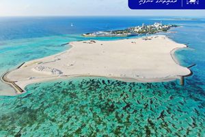 މާފުށިން ހިއްކި ބިމުގެ 45 ޕަސަންޓު ބޭނުންކުރާނީ ގޯތި ދޫކުރަން