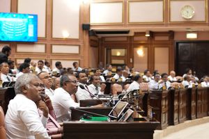 ފްލެޓް ލިސްޓަށް އުނިއިތުރު ނުގެންނަން އަންގަން ފާސްކޮށްފި