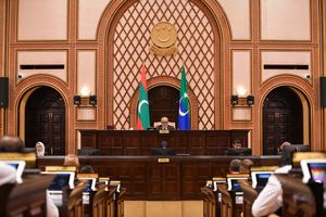 ޑަބްލިއުޑީސީ މެންބަރުންނަށް ރޯދަ އެލަވަންސް ލިބޭ ބިލު ފާސްކޮށްފި