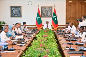 އެގްރޯނެޓާއި އެމްއައިޓީޑީސީ އުވާލަން ސަރުކާރުން ނިންމައިފި