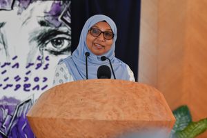 ޖެންޑާ އިކުއަލިޓީ އެކްޝަން ޕްލޭން ފާސްކޮށް އަމަލުކުރަން ފަށަނީ