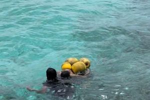 އިއްޔެ ގެނބެނު މީހާއަށް ފަރުވާ ދެމުންދަނީ ވެންޓިލޭޓަރުގައި