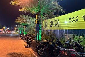 ކަދުރު ރުއްތަކުގައި ދަމާފައި ހުރި ބެނާތައް ނަގައިފި