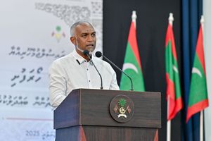 "މުސްތަގުބަލަށް ހުރަސް އެޅުމަކީ އޮންނާނެ ހައްގެއް ނޫން"