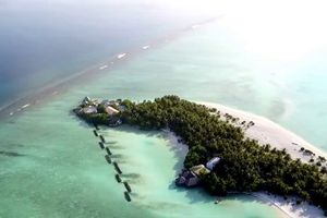 ކޯޓު ހުކުމާ ގުޅިގެން ރިހިވެލީގެ ލައިސެންސް ހިފަހައްޓައިފި