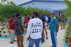 މަސްވެރިންގެ ފައިސާ ނުދޭތީ އައްޑޫގައި އަދިވެސް މުޒާހަރާ ކުރަނީ