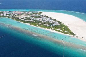 ދުވާފަރުން 22 ހެކްޓަރުގެ ބިން ހިއްކައިފި 